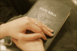 Ángelus dominical 2025-08-31