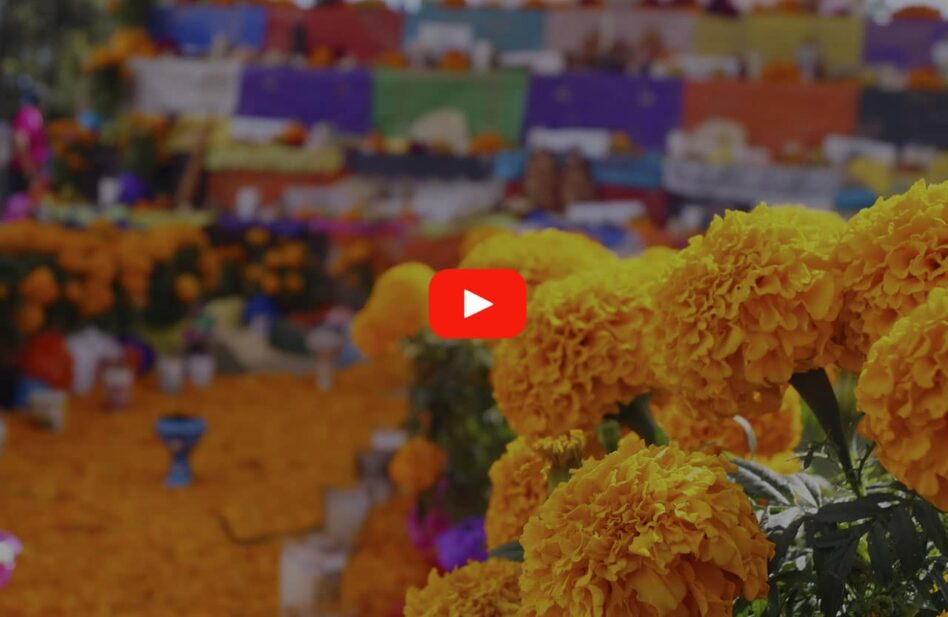 Video: Origen y sentido de los días 1 y 2 de noviembre