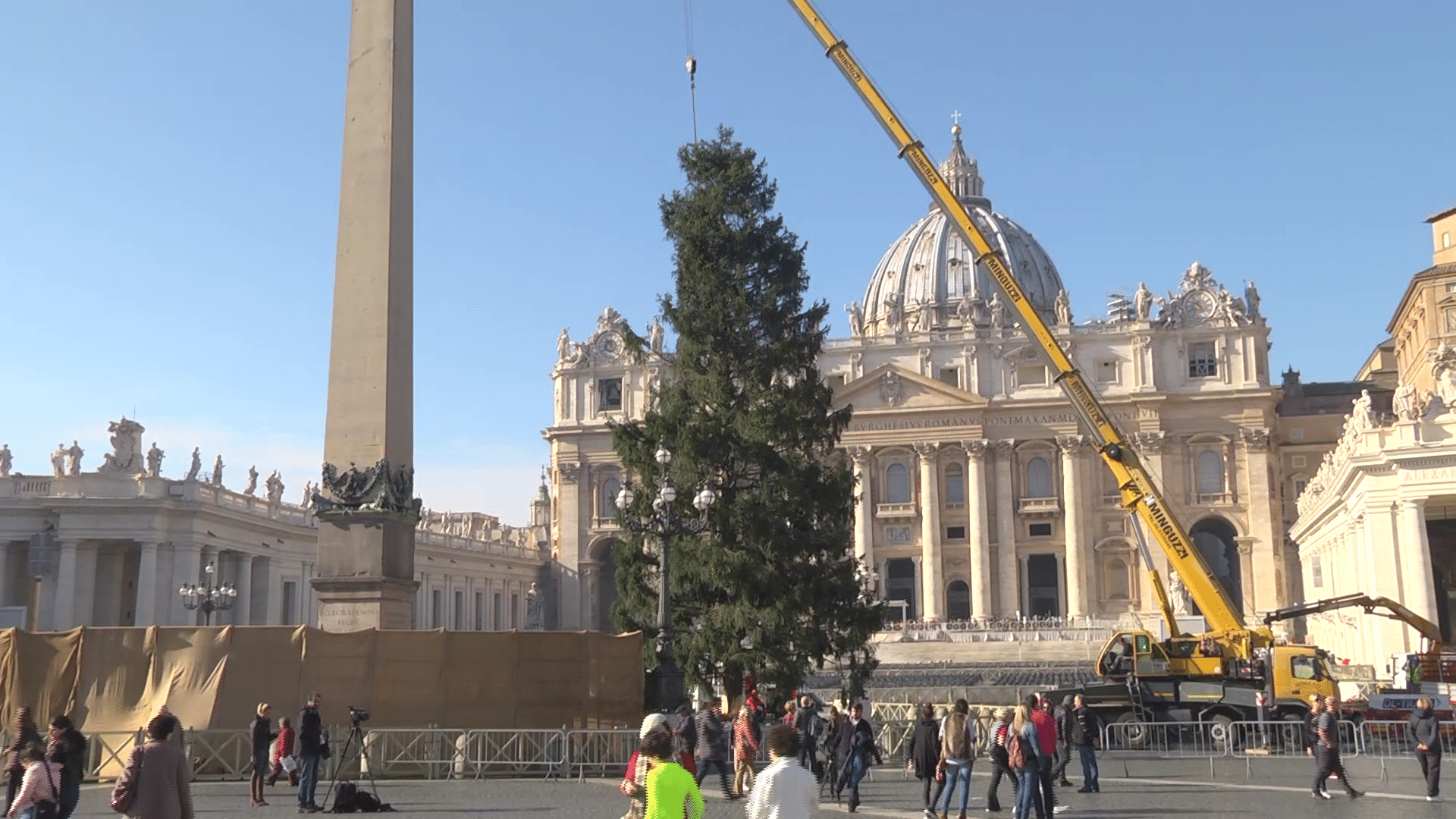 Vaticano: Árbol de Navidad obsequiado por Polonia se alza ya en San Pedro