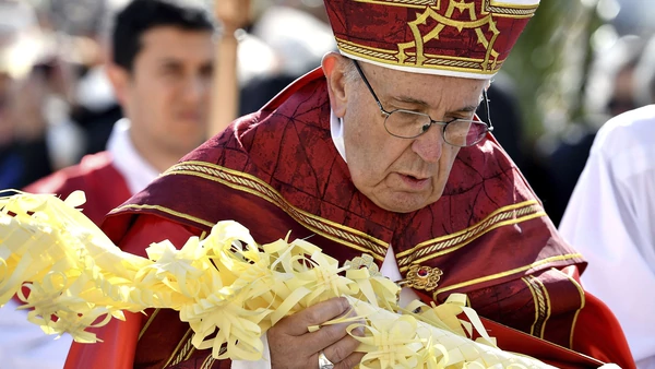 El Papa en Domingo de Ramos: Cuando nos calumnien, miremos a Cristo en la cruz