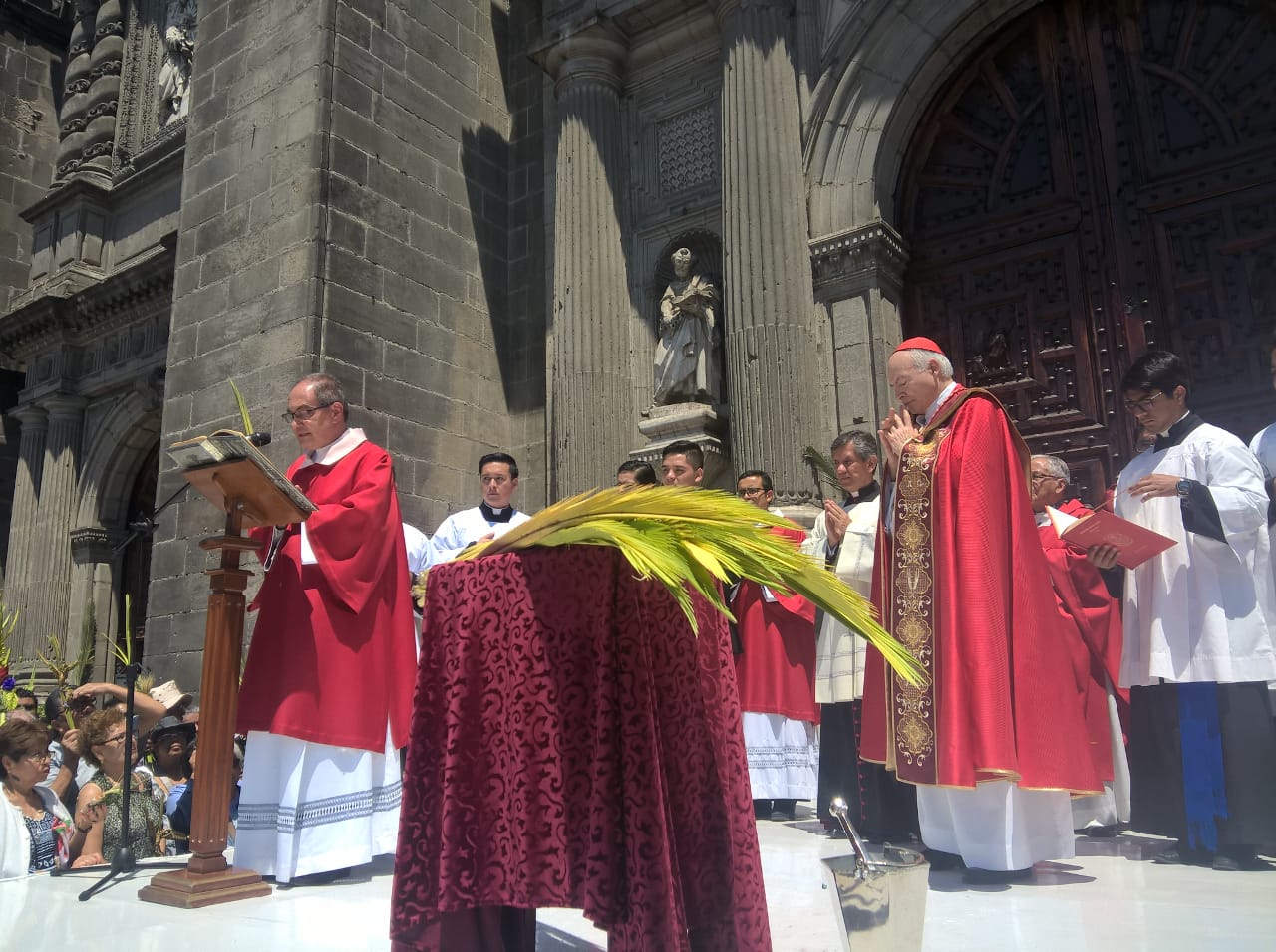 Misa del Domingo de Ramos presidida por el Card. Carlos Aguiar en la Catedral de México