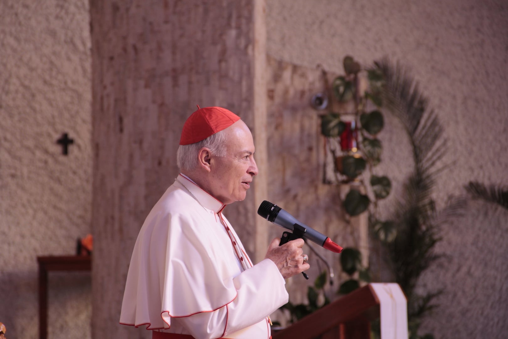 Galería de la visita del Card. Carlos Aguiar a la IV Vicaría Episcopal “San Miguel Arcángel”