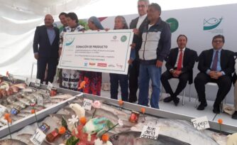 Bendicen en la Catedral los peces  de los litorales mexicanos