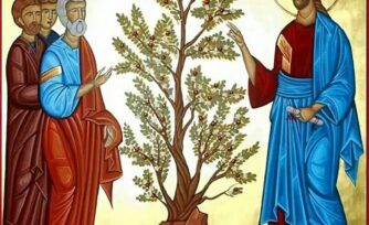 Cultura Bíblica: ¿Por qué Jesús enseñaba con parábolas?