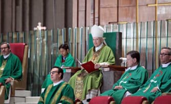 Homilía en el XI Domingo del Tiempo Ordinario