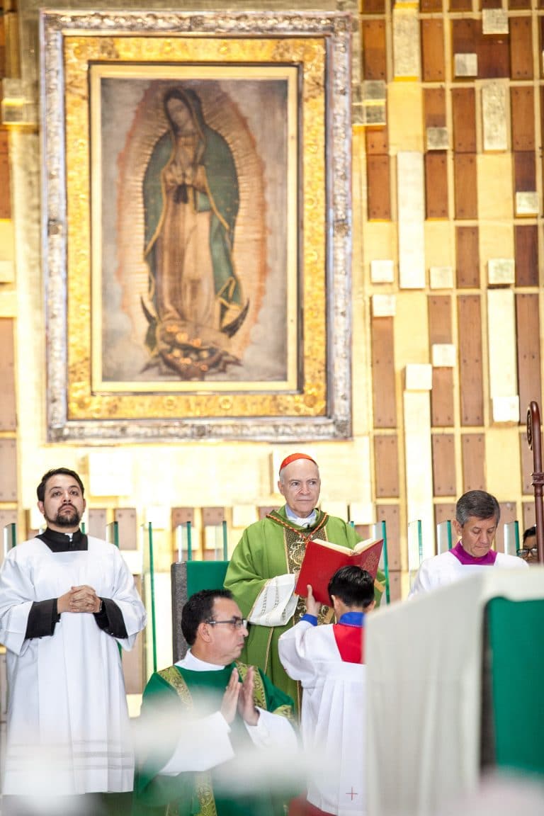 Misa En Vivo Desde Basílica De Guadalupe Desde La Fe Misa En Vivo Desde Basílica De Guadalupe Desde La Fe