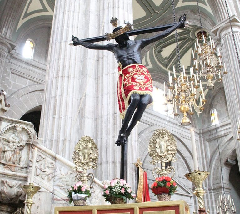 El Señor del Veneno