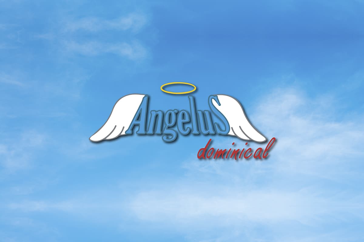Ángelus dominical: Ofrece un ‘rincón’ de tu pobre posada y tu corazón