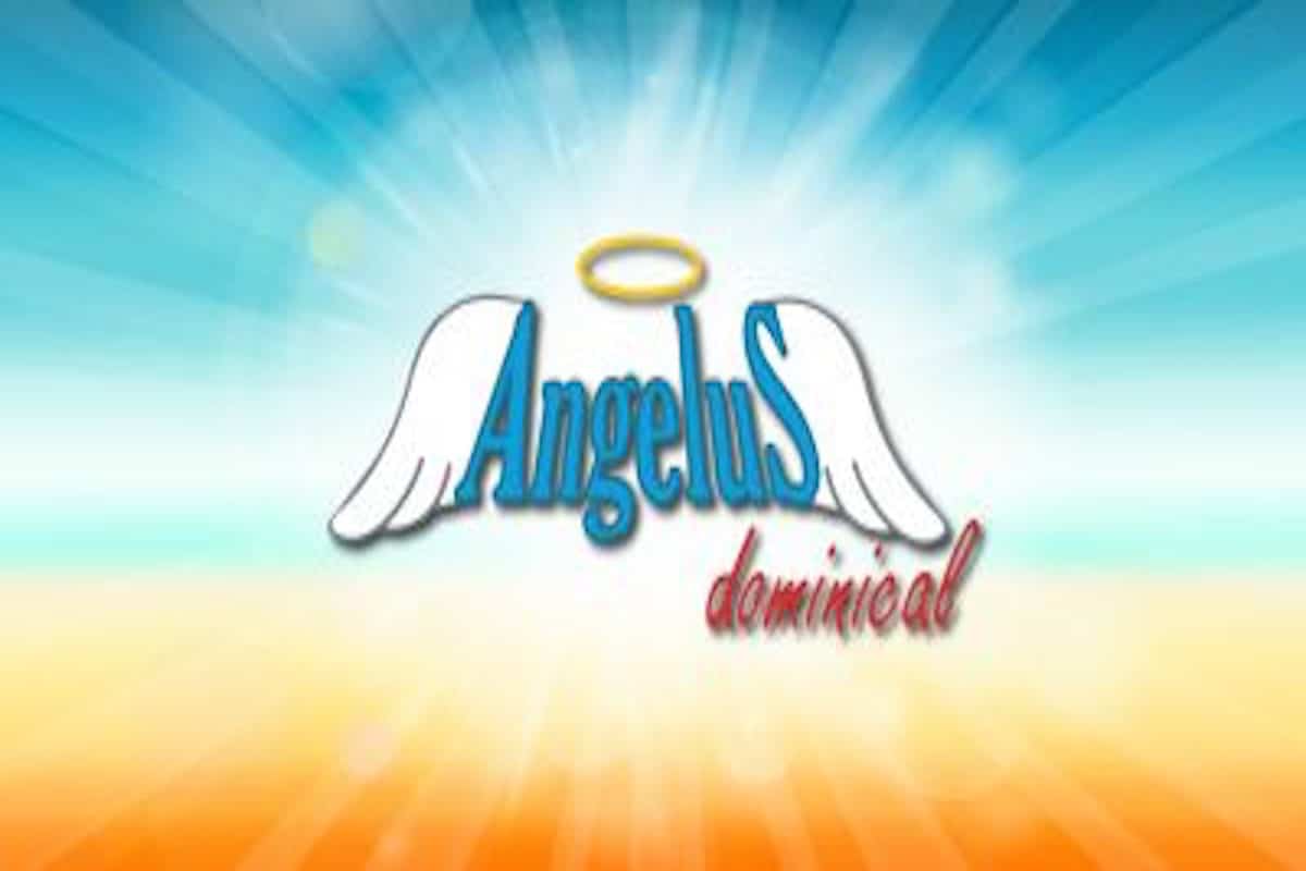 Angelus dominical: primero gatear y luego caminar