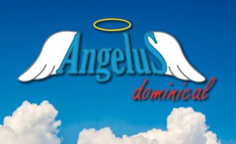 Ángelus dominical 11 noviembre 2018