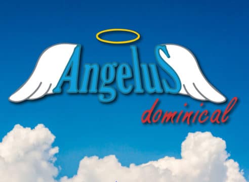 Ángelus dominical 11 noviembre 2018