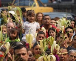 Domingo de Ramos: ¿para qué se usan las palmas benditas de la procesión?