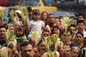 Las palmas se bendicen el Domingo de Ramos.