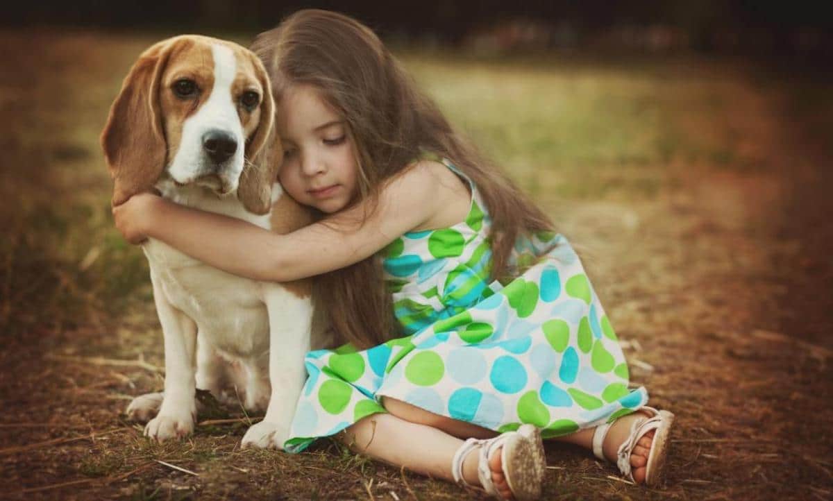 ¿Cómo ayudar a un niño a vivir el duelo por la muerte de una mascota?