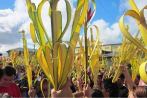 ¿Qué debo hacer con las palmas benditas de la Semana Santa pasada?