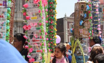Los pájaros que cantan para Jesús en Domingo de Ramos