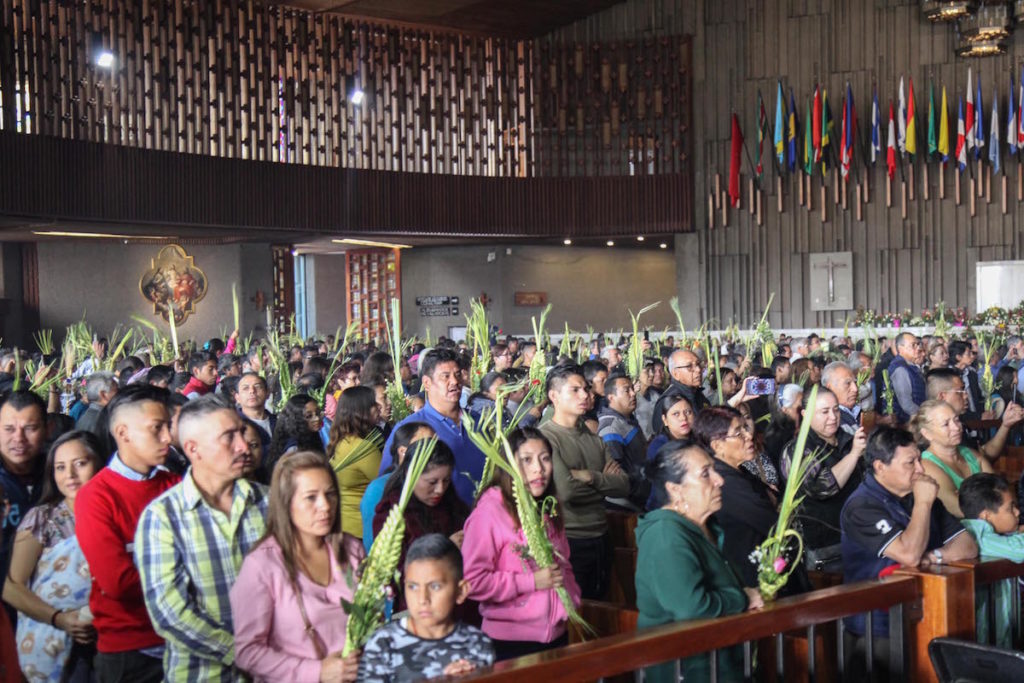 Bendición de las palmas en la Basílica de Guadalupe. Foto: Luis Patricio