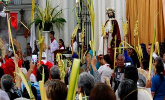 Domingo de Ramos: ¡Las palmas arriba para recibir a Jesús!