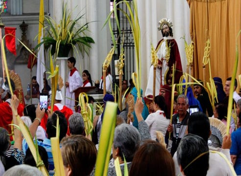 Domingo de Ramos: ¡Las palmas arriba para recibir a Jesús!