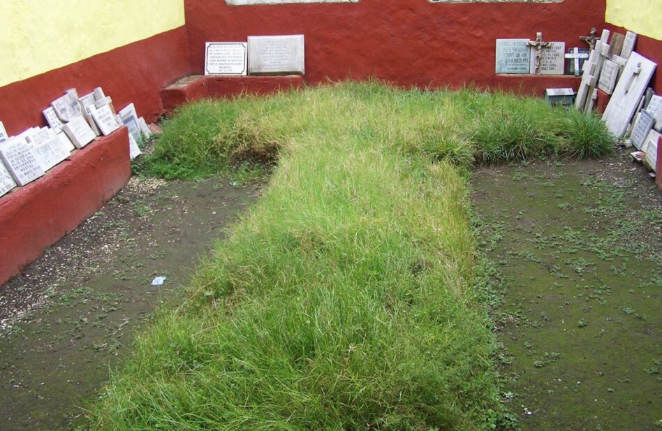 Hace 400 años apareció esta cruz de zacate que no se ha secado