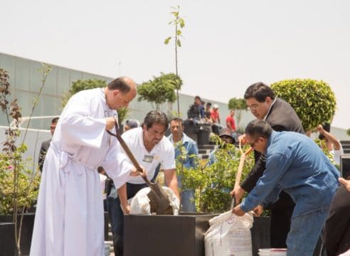 Jornada ecológica en la Basílica de Guadalupe