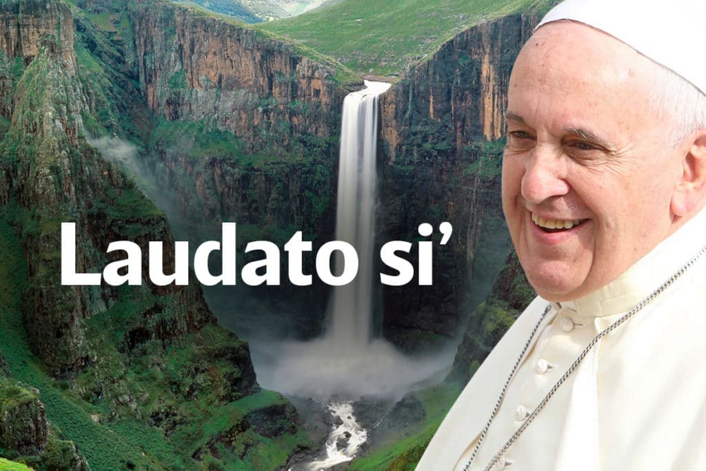 En Laudato si', el Papa Francisco reflexiona sobre el estado del medio ambiente y la ecología.