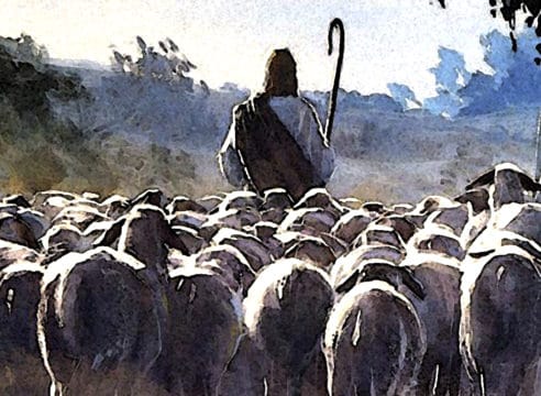 Mis ovejas escuchan mi voz