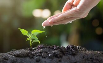 12 términos para entender Laudato si’, el documento ecológico del Papa Francisco