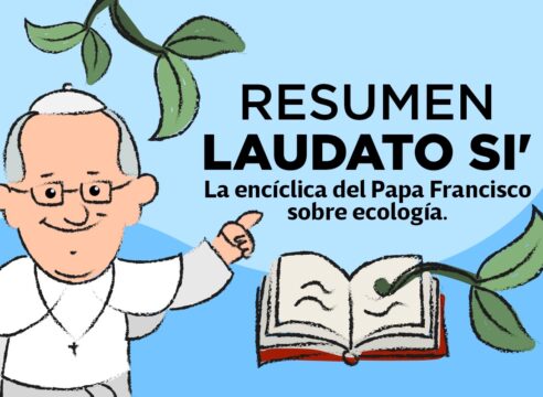 Resumen de Laudato si', la encíclica del Papa Francisco sobre ecología