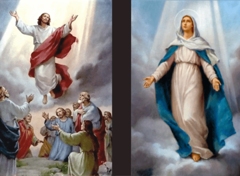 ¿Por qué son diferentes la Ascensión del Señor y la Asunción de María?