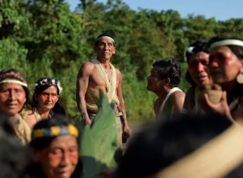 ¿Qué es el Sínodo de la Amazonia? Todo lo que debes saber