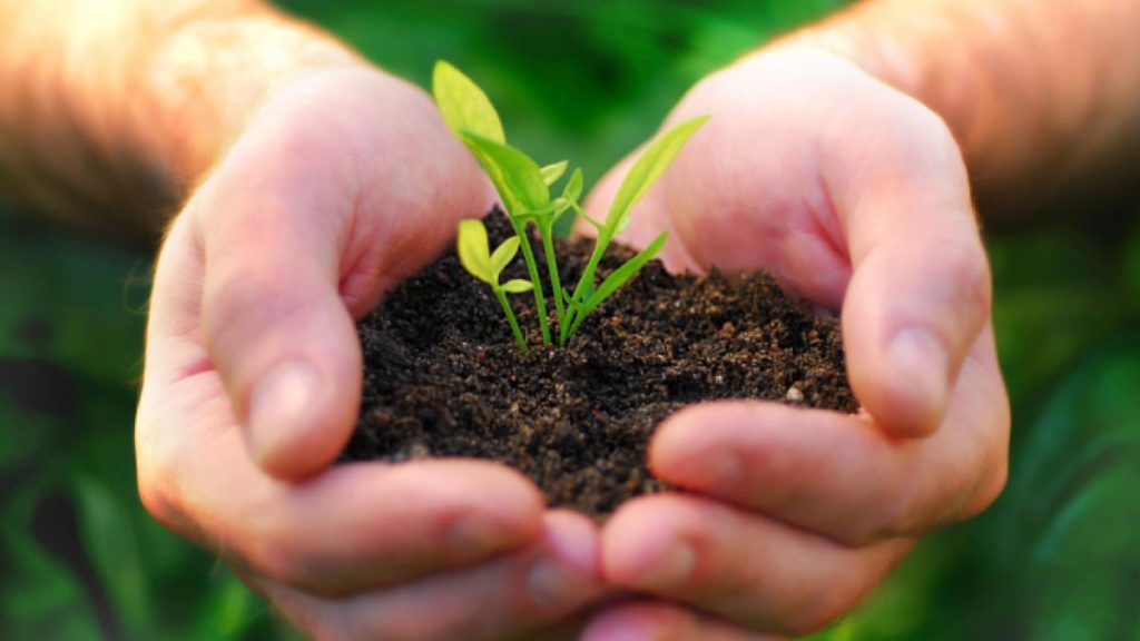 plantas con alma
