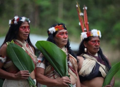 Los pueblos indígenas deben ser protagonistas de su historia