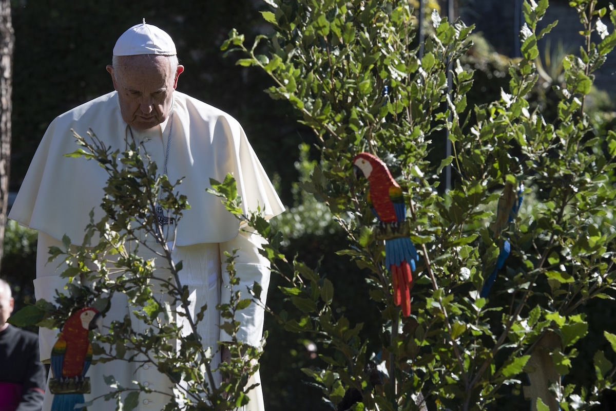 El Papa Francisco en la celebración de San Francisco de Asís el 4 de octubre de 2019. Foto: L'Osservatore Romano