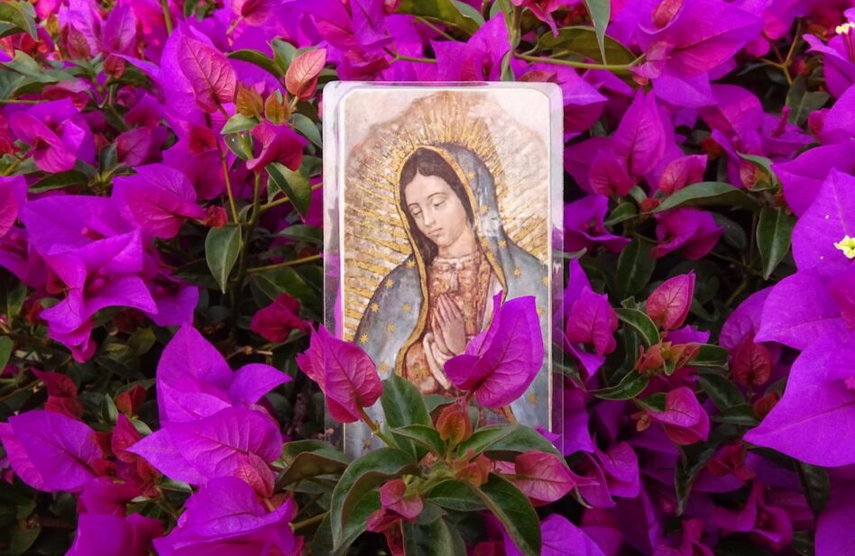 La Virgen de Guadalupe y la verdad de las flores