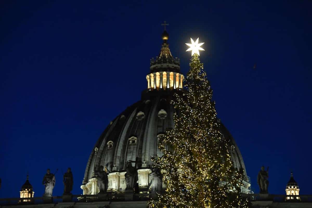 El árbol de Navidad del Vaticano 2019 usa luces de bajo consumo. Foto: Vatican Media