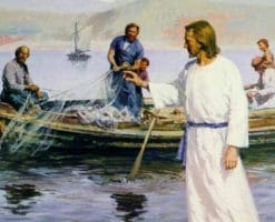 ¿Dejar todo para seguir a Jesús? Esto nos dice el Evangelio