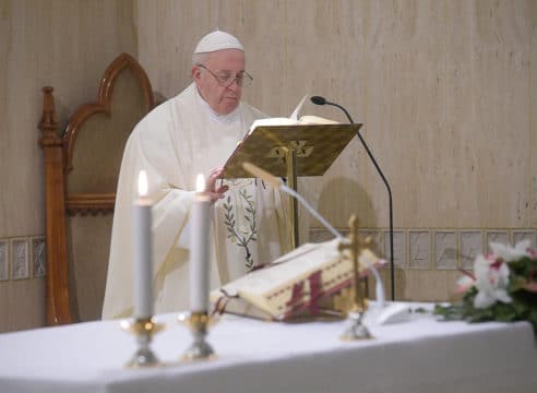 Papa Francisco: Hoy es un día para agradecer y pedir disculpas