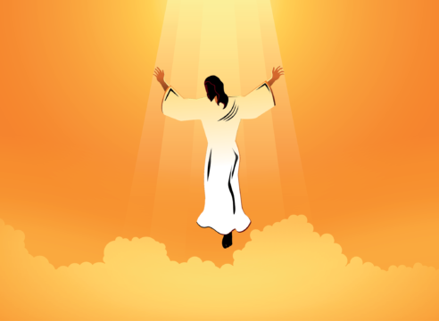 ¿Por qué el 2do Domingo de Cuaresma leemos la Transfiguración?