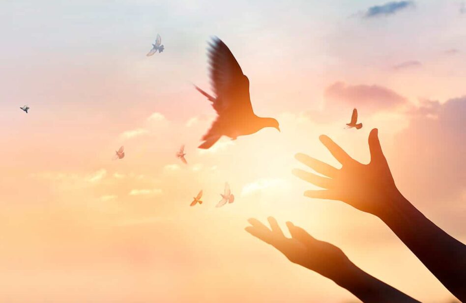Temor de Dios: miedo de ofender su amor