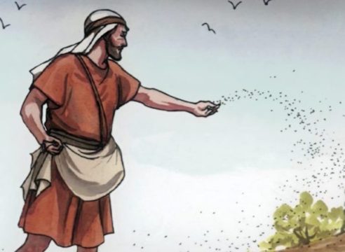 Cultura Bíblica: ¿Qué significa la ‘tierra buena’ en la parábola del Sembrador?