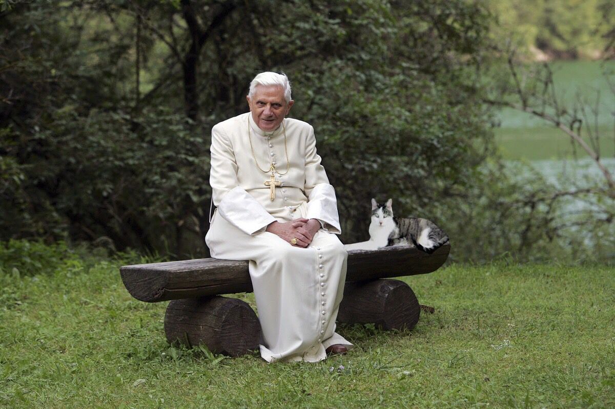 Benedicto XVI en los jardines vaticanos.