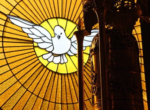 Frutos del Espíritu Santo: ¿qué es la Mansedumbre?