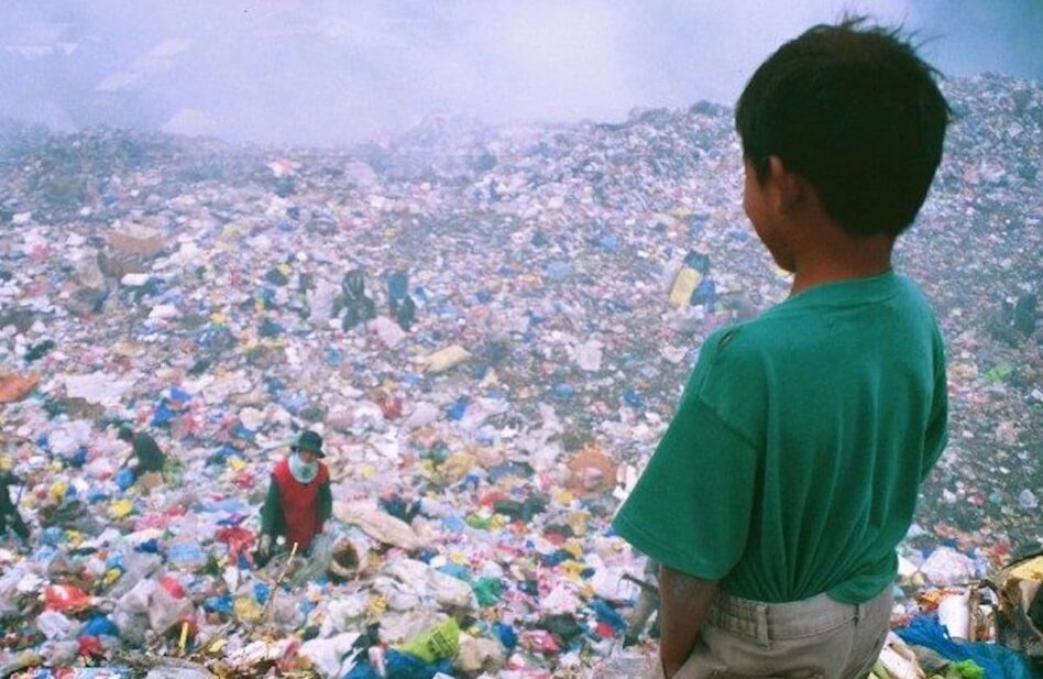 Papa Francisco: Curar el corazón, para sanar el medio ambiente