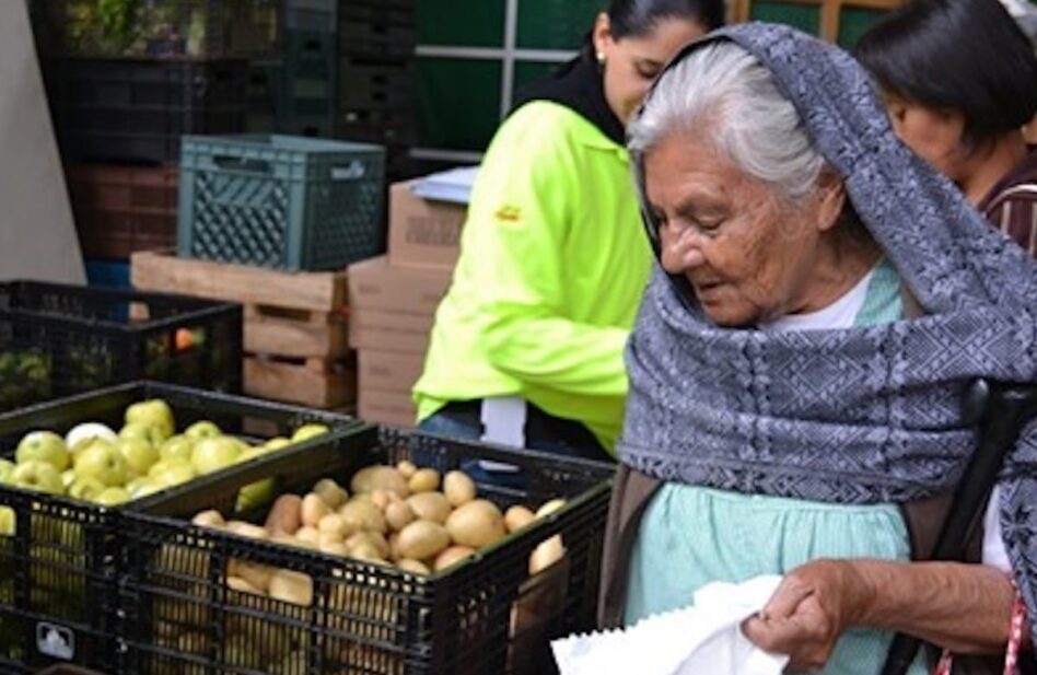 Impiden el desperdicio de toneladas de alimento; lo dan a necesitados