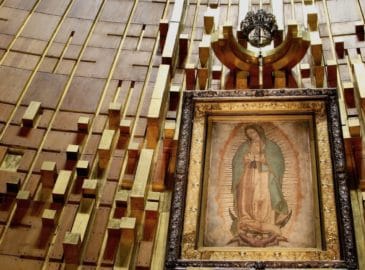 Virgen de Guadalupe en vivo ¡Contempla la imagen y ora ante ella!