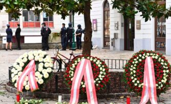 Papa Francisco tras el atentado en Viena: ¡Basta de violencia!