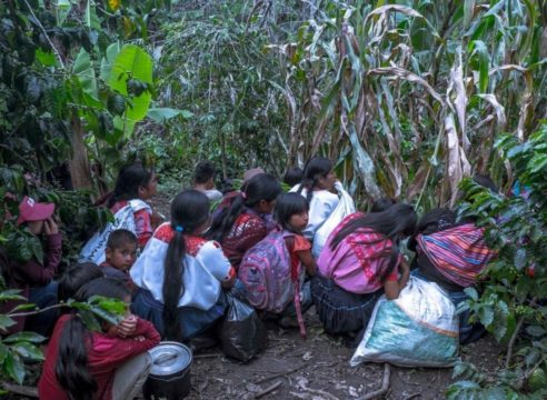 En Chiapas, un grupo paramilitar atacó a voluntarios de Cáritas