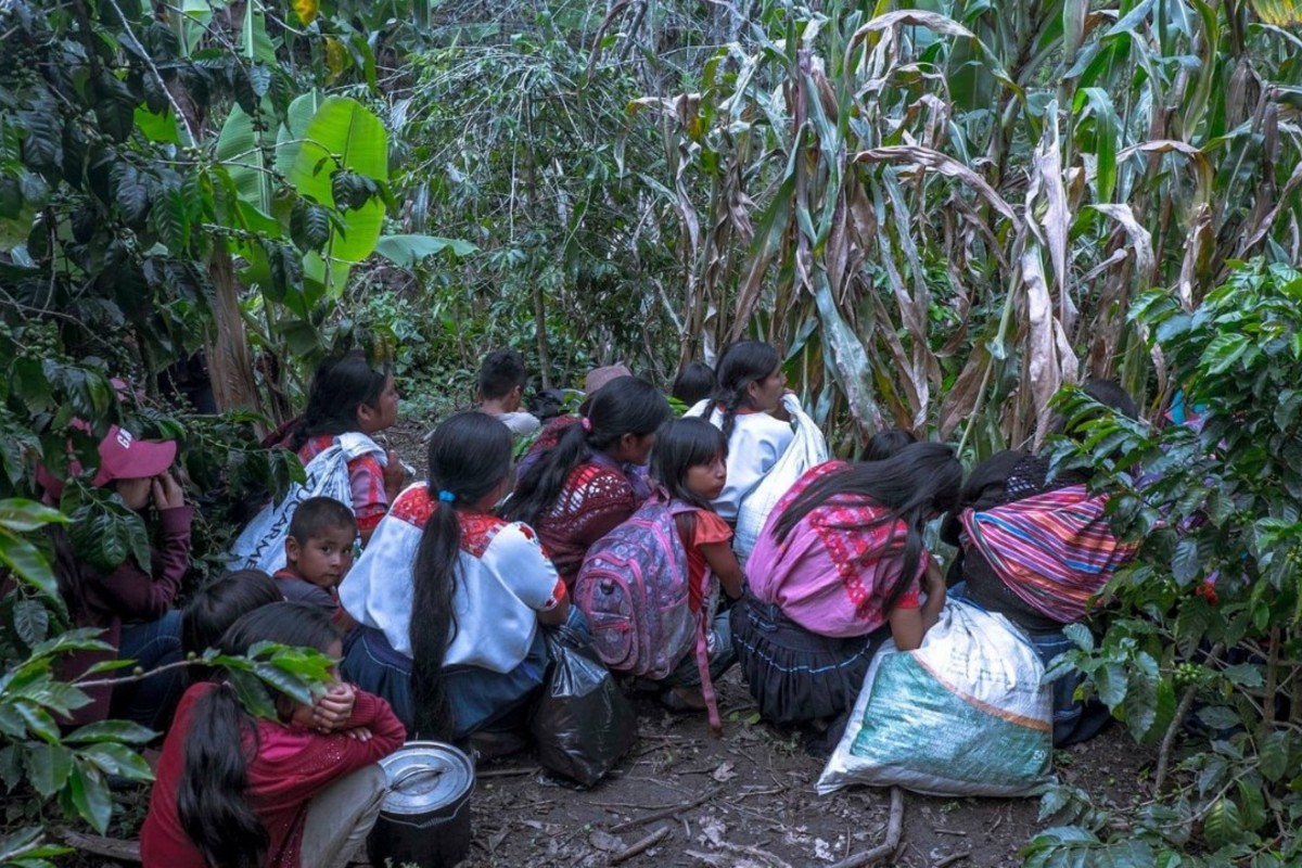En Chiapas, un grupo paramilitar atacó a voluntarios de Cáritas