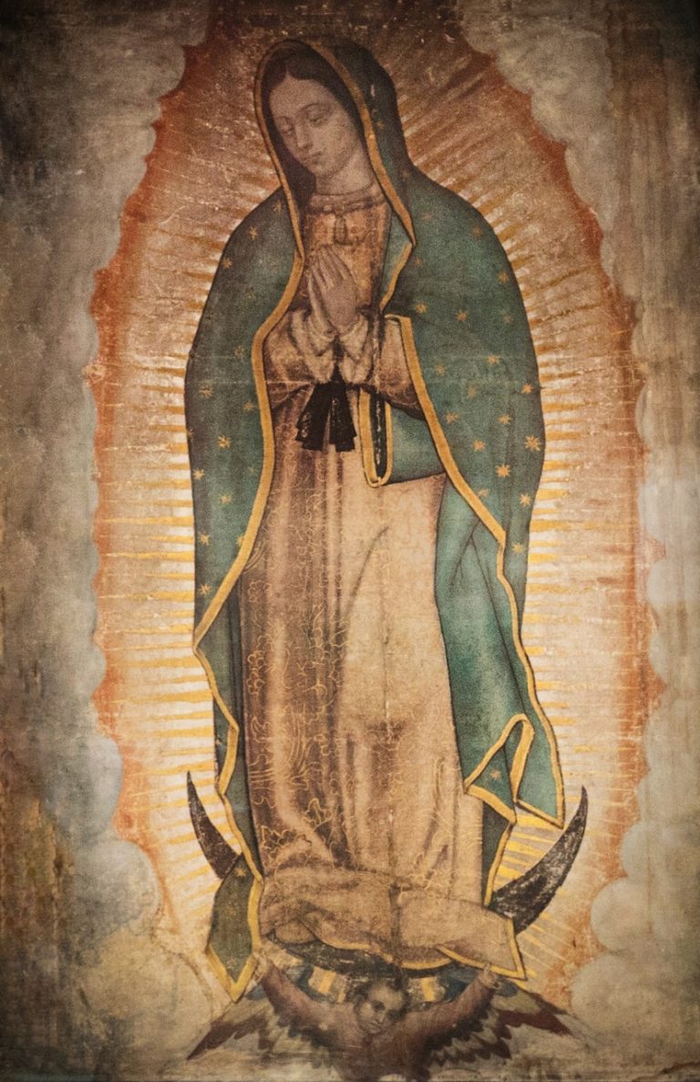 Virgen De Guadalupe En Vivo Contempla La Imagen Y Ora Ante Ella